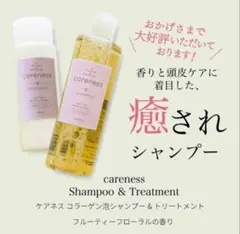 ケアネス　シャンプー 300ml (美容室専売品)