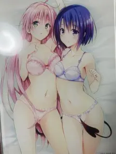 箱付 To LOVEる とらぶる 原画展 アクリル アートパネル ララ 春菜 A
