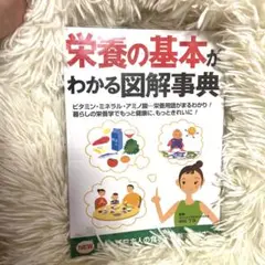 最終価格　お値引き　中村友美　小鍋　両手付き 最終価格お値引き中村友美小鍋両手付き