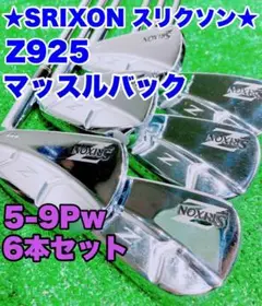 ★SRIXON★スリクソン Z925 FORGED S200 DST アイアン