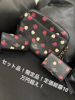 COACH リンゴ柄 限定品ショルダーバッグ、財布、キーケースセット、セール
