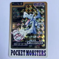 ポケットモンスター カード No.142
