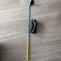 Item thumbnail for item 087e538c-6d1d-4a8a-b0fb-d62aa26af44c