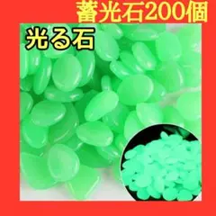 蓄光石 夜光石 水槽 光る石 ガーデニング