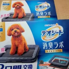 Item thumbnail for item 467a6a72-e812-436c-858e-a6c7e371dfcb