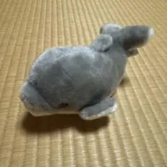 クジラ型ぬいぐるみ材料 グレー