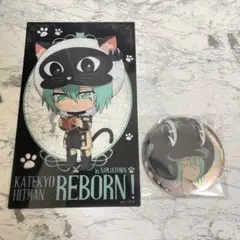 家庭教師ヒットマンreborn ナンジャタウン　缶バッジ　フラン