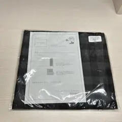 Item thumbnail for item bcc8284b-b37d-45d9-9a47-5a3c7d9cf335