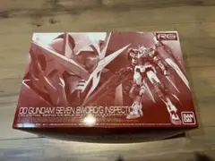 RG 00 GUNDAM SEVENSWORD G INSPECTION