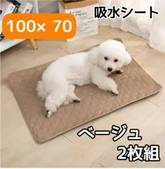 Item thumbnail for item 729619eb-d12c-410b-8a9c-e915474ef890