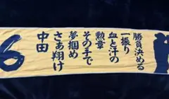中田翔野球応援タオル