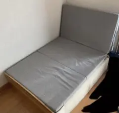 カール様専用