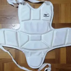 ミズノプロテクターL