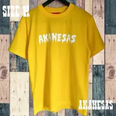 AKANESAS inc. ドライTシャツ　イエロー×ホワイト　sizeM