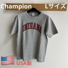 champion Tシャツ　Lサイズ　USA製