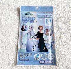 ディズニー　虫除けシール　アナと雪の女王　スケーター