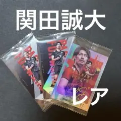 男子バレーツインウエハース　関田誠大　サントリーサンバーズ大阪