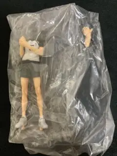 ハイキュー!!　DXFフィギュアvol.10 全2種セット(木兎光太郎/赤葦京治) ggw725x セリア ポスター カバー 中古]ハイキュー!! DXFフィギュアvol.10