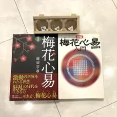 梅花心易入門＆五行梅花易カードセット 梅花心易入門マニュアル | 占い学校 Central tower 購買部