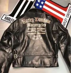 旧リアルマッコイズHarley-Davidson シングルライダースジャケット Yahoo!オークション - THE REAL McCOY'S HARLEY-DAVIDSON ザ