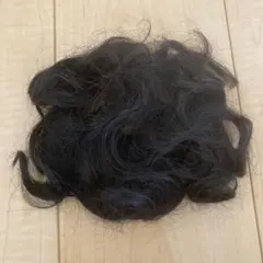 アロンジェ 頭頂部ウィッグ 色4
