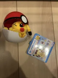 ポケモン　ぬいぐるみバッジ　ピカチュウ　ポケモンセンター限定