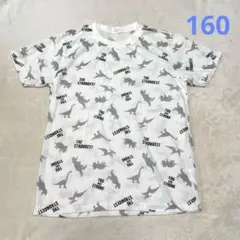 キッズ　Tシャツ　恐竜　男の子　160