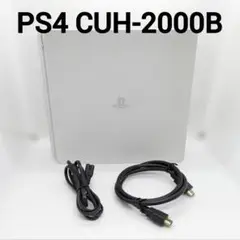 PS4 1TB 本体 動作確認済み CUH-2000B ホワイト 匿名配送
