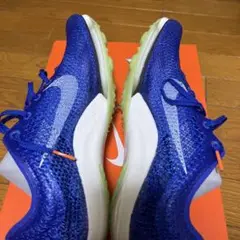 Airzoom victory 初代