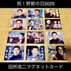 田所浩二 マグネットカード12枚セットと野獣先輩 キーホルダー 真夏の夜の淫夢