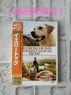 【新品未使用】　☆イエロードッグ　DVDです♪