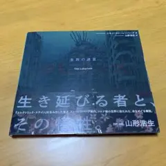 ラビリンス : 生存の迷宮　　Q52