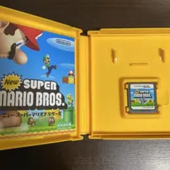 DS ニュースーパーマリオブラザーズ