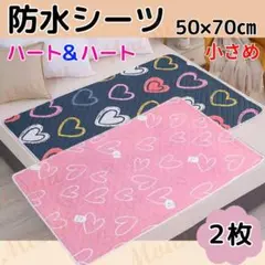 Item thumbnail for item bfaf3dfa-3c81-49a2-b65a-1ad321287f74
