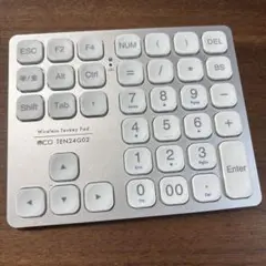 TEN24G02 ワイヤレステンキー シルバー