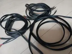 Item thumbnail for item 8a179c4e-a8f8-4aad-93ab-4b1972cee216