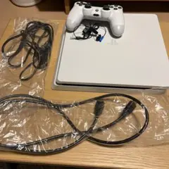 PlayStation®4 グレイシャー・ホワイト 500GB