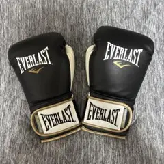 EVERLAST POWERLOCK TRAINING GLOVES 14oz