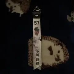 千葉ロッテ マッチデーボンフィン 小川龍成 背番号57