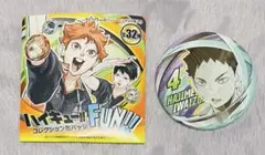 ハイキュー!!ファンパーク コレクション缶バッジ【岩泉一】