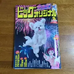 ビッグコミック オリジナル 9月号増刊号 オール新作読み切り