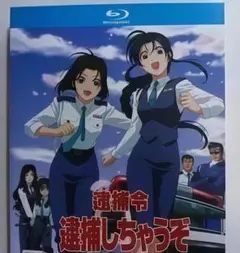 Item thumbnail for item 042485a7-89a7-4796-aa73-ee090c6423f7