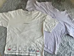 ミッフィー Tシャツ 2枚セット