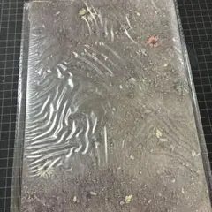 Item thumbnail for item 04ab1923-3fed-417c-acf5-5c99efe3179a