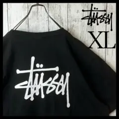 【希少】ステューシー メキシコ製 Tシャツ XL ビッグサイズ 黒 ブラック 白