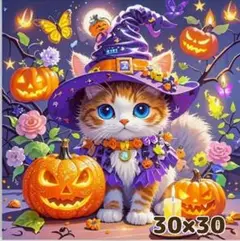 30×30 ダイヤモンドアート キット ラウンド 猫 ハロウィン とんがり帽 紫