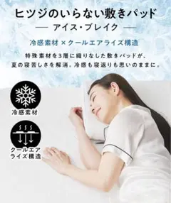 【新品未使用】ひつじのいらない式パッド アイス・ブレイク ダブル ホワイト