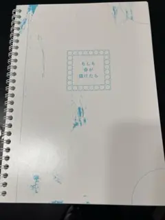 Item thumbnail for item 362c8c44-c37a-4def-a792-4986c8979c65