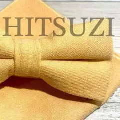 Item thumbnail for item 7b8722f7-3a26-4be2-8f53-31a32bf55d63