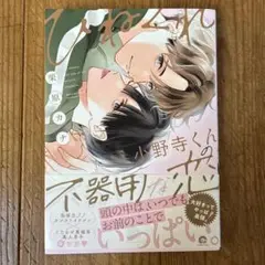 ひねくれ小野寺くんの不器用な恋
